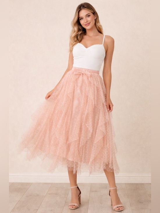 Live 4 Truth Dresses & Skirts - Live 4 Truth Blush Pink Layered Tulle Midi Skirt
